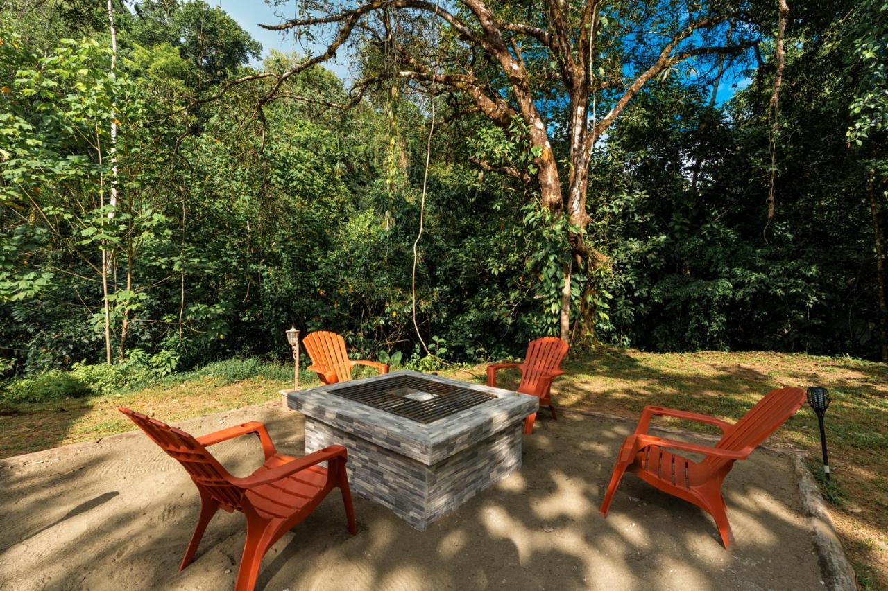 Drake Bay River View Ngoại thất bức ảnh