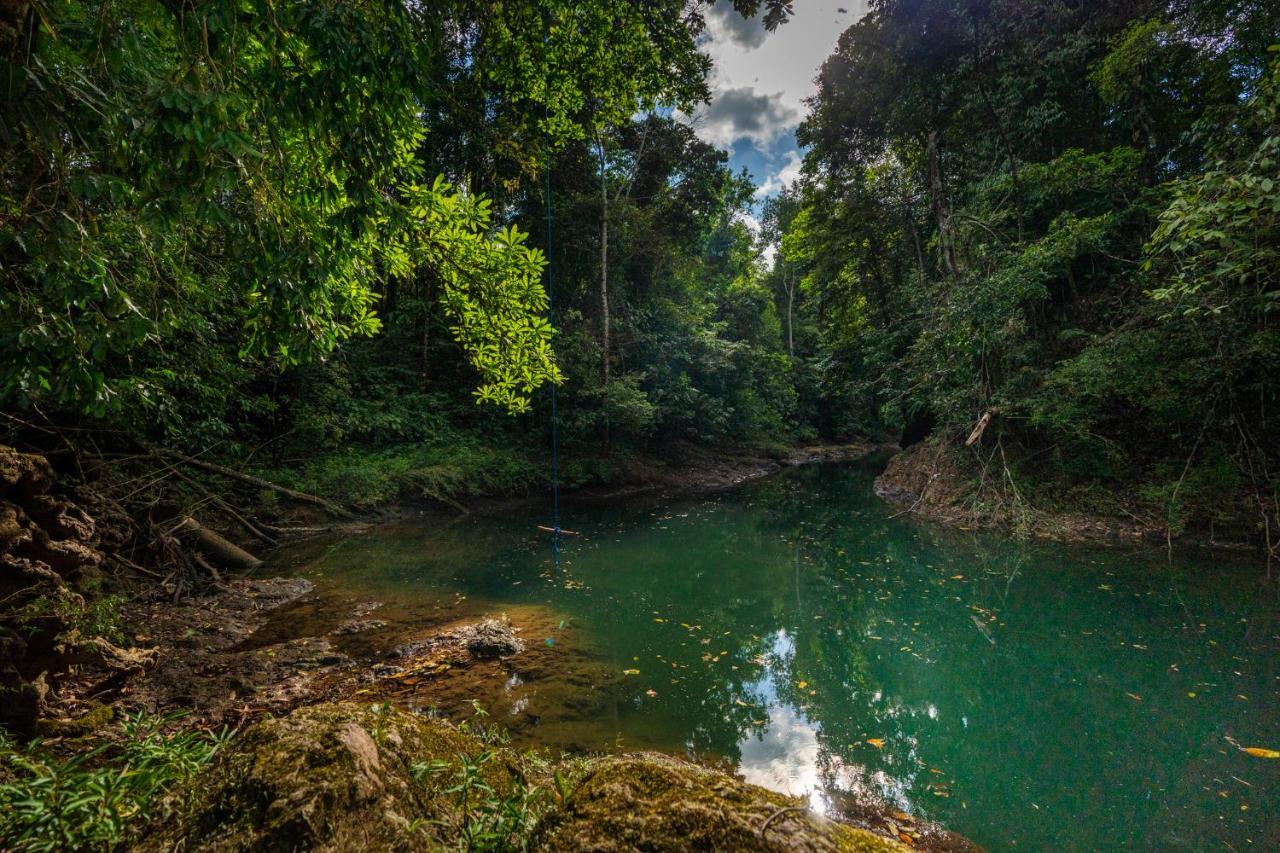 Drake Bay River View Ngoại thất bức ảnh