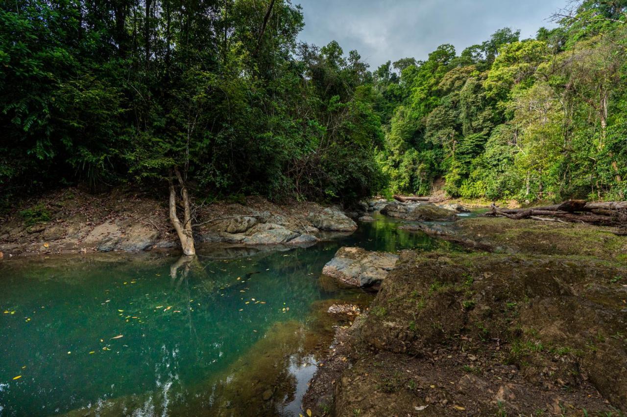 Drake Bay River View Ngoại thất bức ảnh