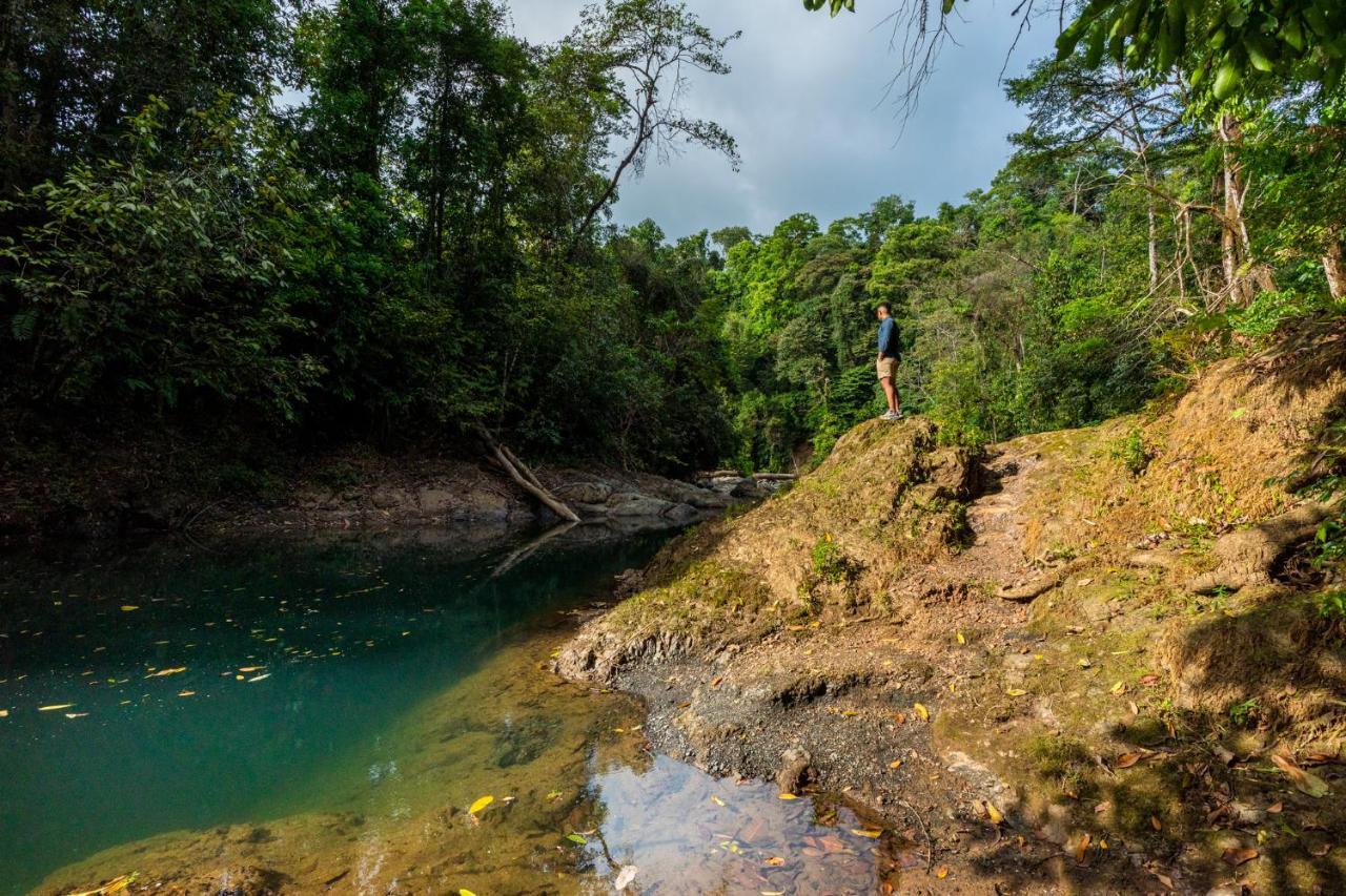 Drake Bay River View Ngoại thất bức ảnh