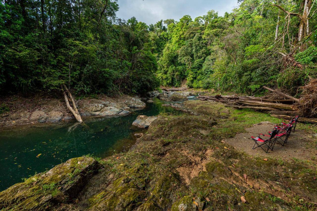 Drake Bay River View Ngoại thất bức ảnh