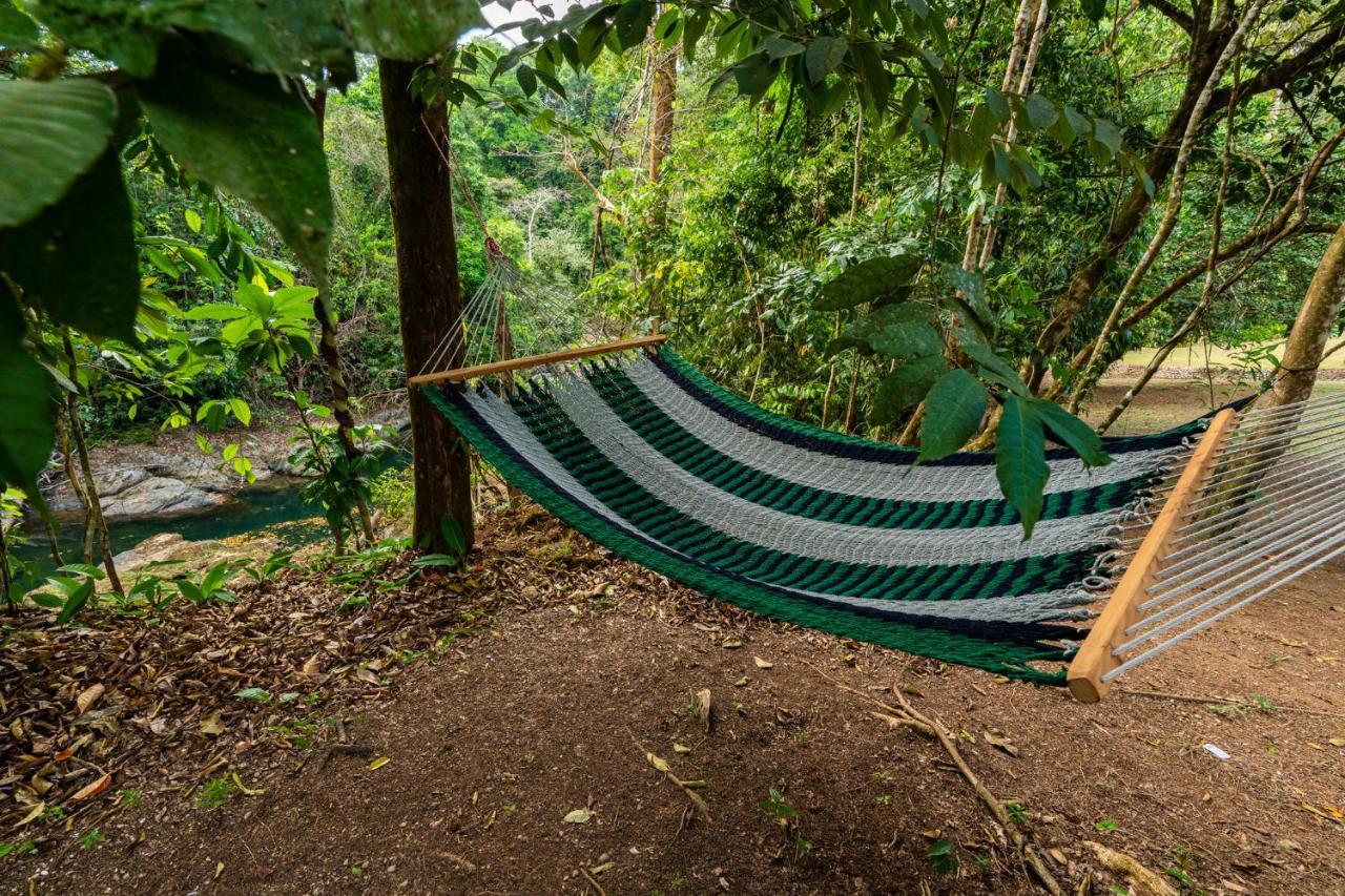 Drake Bay River View Ngoại thất bức ảnh