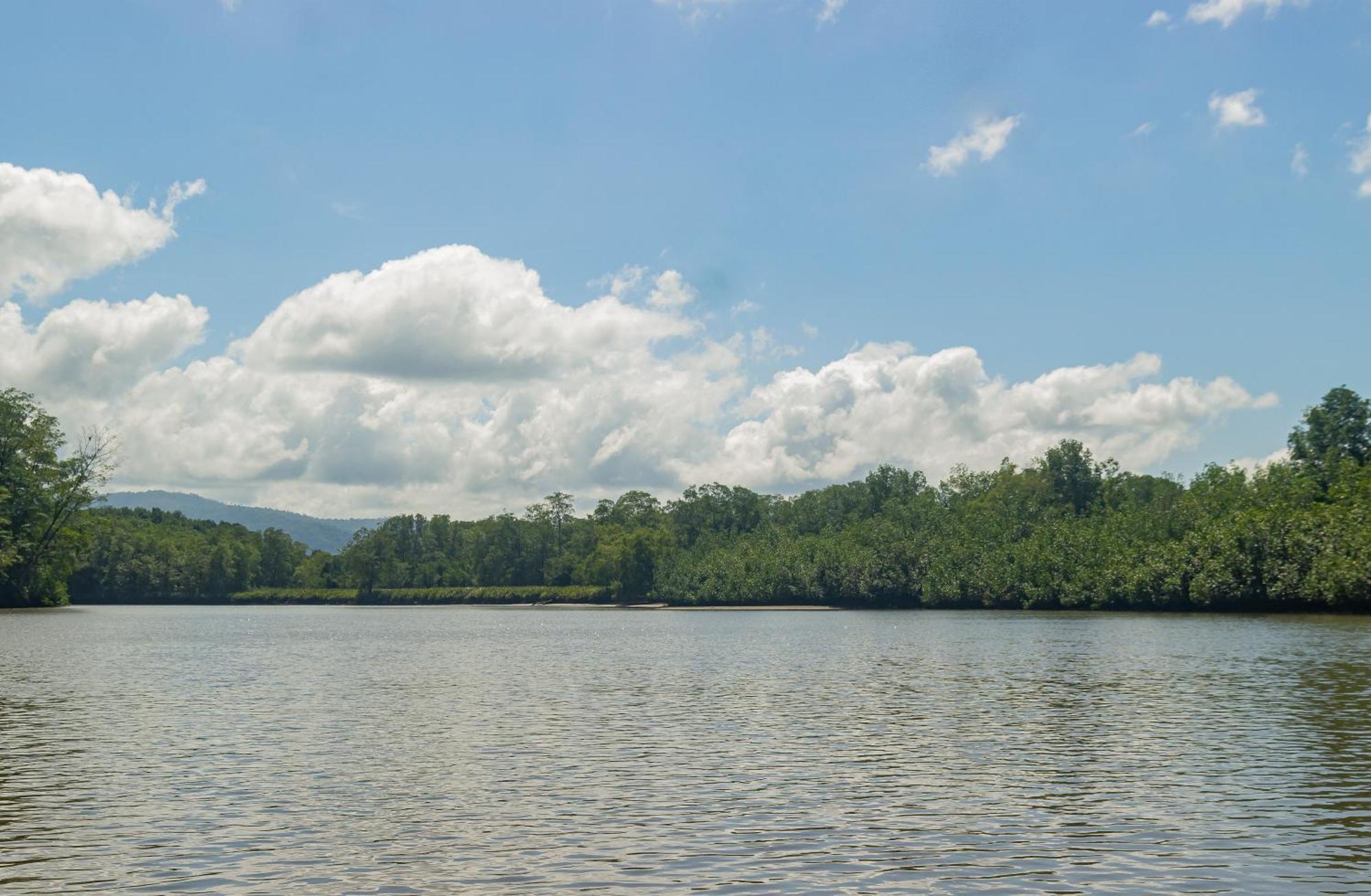 Drake Bay River View Ngoại thất bức ảnh