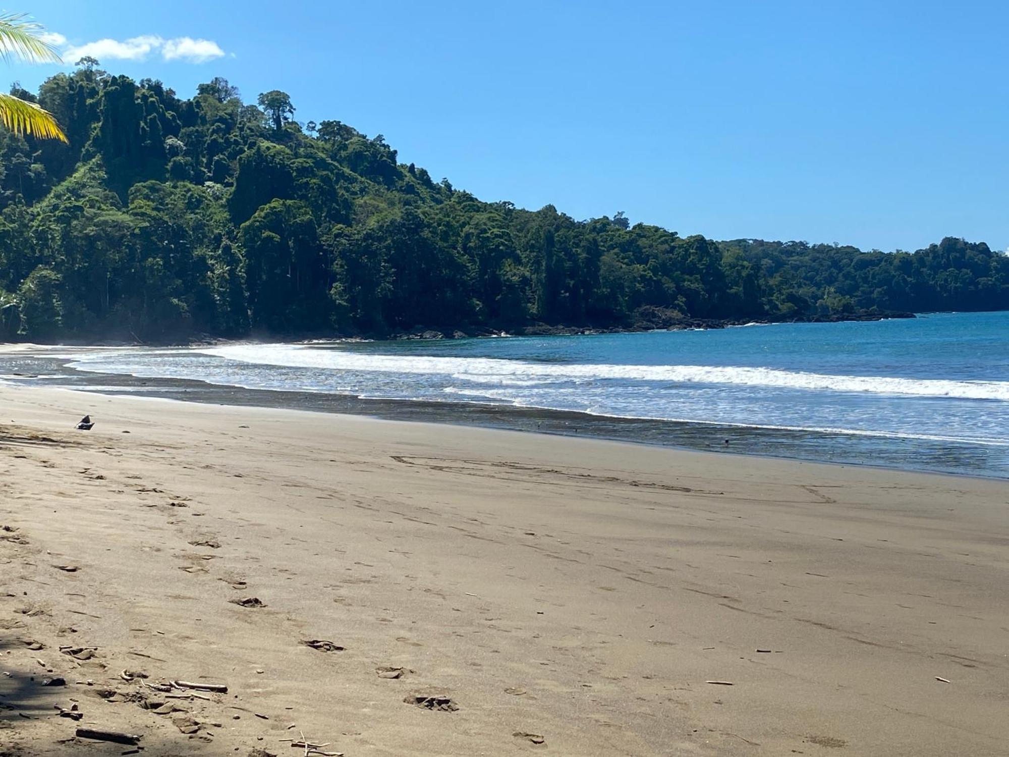 Drake Bay River View Ngoại thất bức ảnh