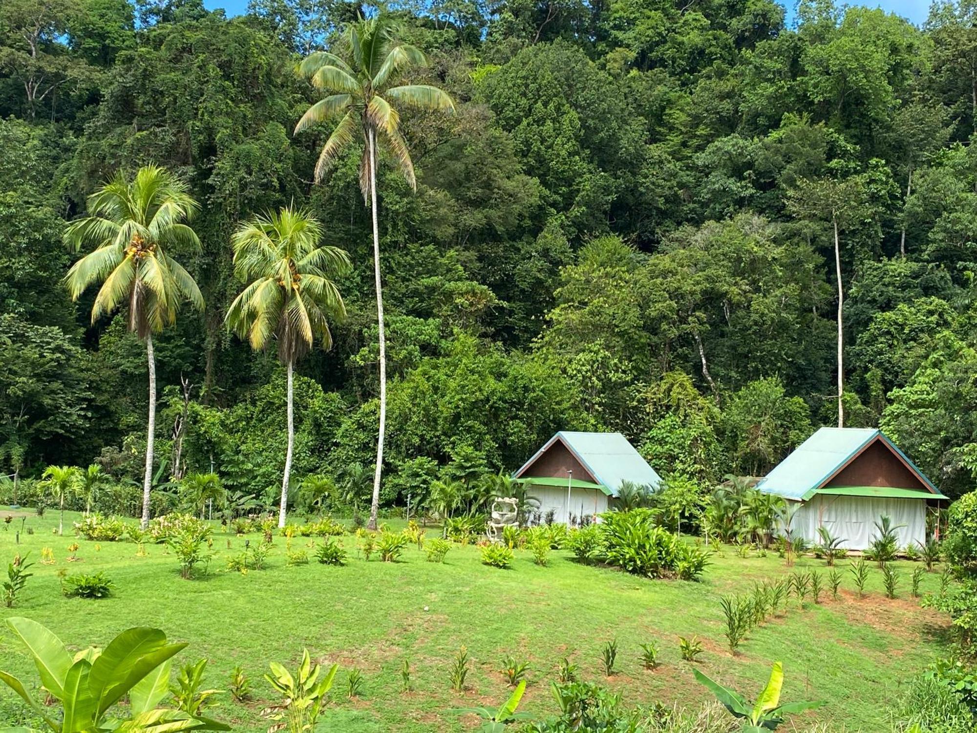 Drake Bay River View Ngoại thất bức ảnh