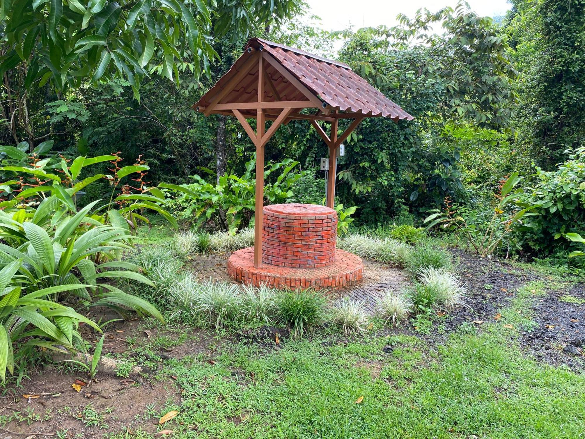 Drake Bay River View Ngoại thất bức ảnh
